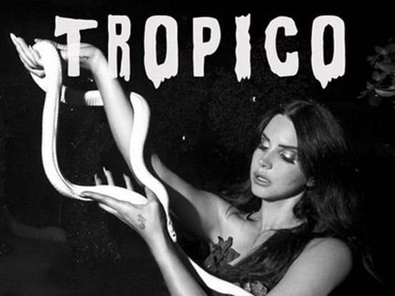 lana-del-rey-c-twitter