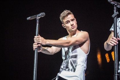 Liam Payne - L'Annuel Officiel 2015