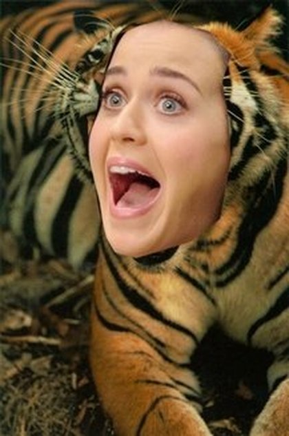 Katy Perry : "c'est génant mais j'aime ça"