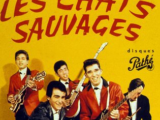 Les Chats Sauvages