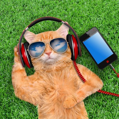 Playlist à écouter avant un entretien d'embauche