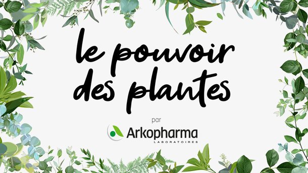 Le Konjac est-il vraiment l’aliment miracle ? Réponse dans le nouveau podcast Arkopharma !