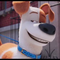 Comme des bêtes - Bande-Annonce 3