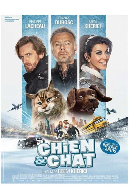 Chien & Chat - affiche