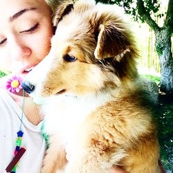 Miley Cyrus et son nouveau compagnon !