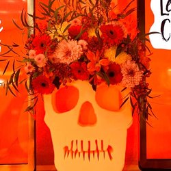 Le studio a été redécoré pour l'occasion !
