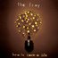 THE FRAY