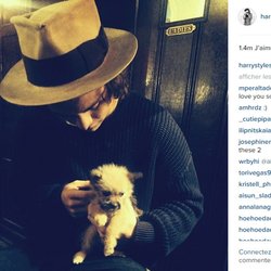 Harry Styles