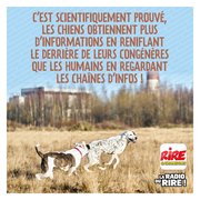 Un scoop Rire & Chansons