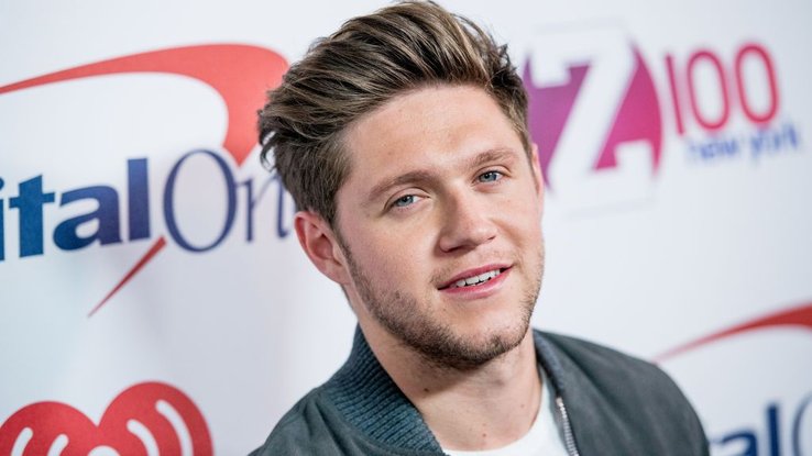 "Slow Hand" : Niall Horan et son single érotique