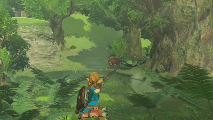 jeux video nintendo