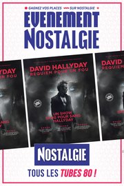 David Hallyday en tournée "Requiem pour un fou"