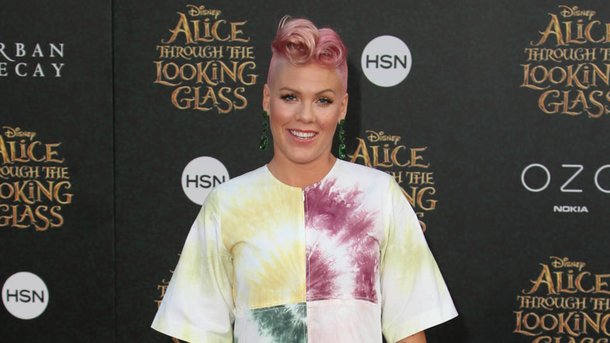 Pink reçoit une standing ovation aux American Music Awards 2017!