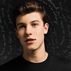 Shawn Mendes