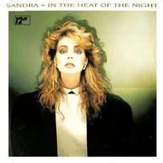 IN THE HEAT OF THE NIGHT  (1986)