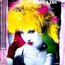 SPAGNA