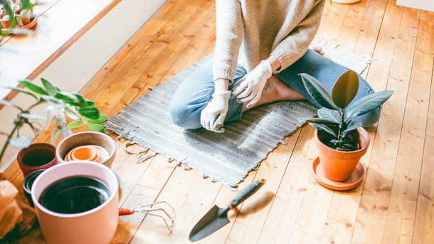 8 conseils pour prendre soin de vos plantes intérieures