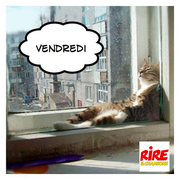Blague : ça se voit qu'on est vendredi, non ?
