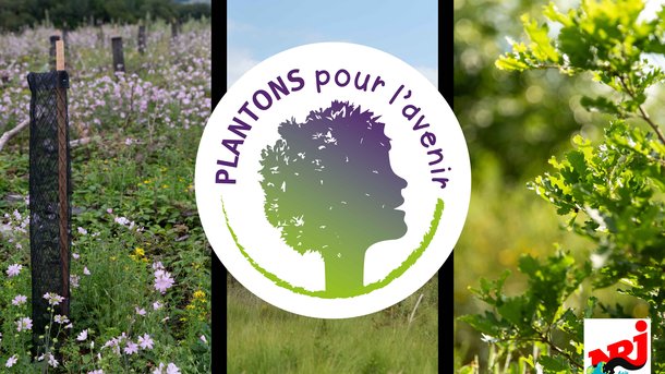 Plantons pour l'avenir: NRJ s'engage à planter un arbre par auditeur à l'antenne !
