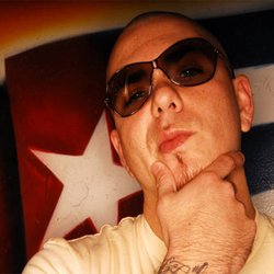 Pitbull2