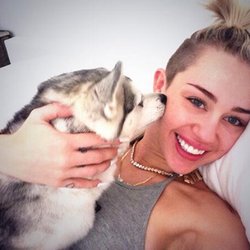 Miley Cyrus: Grace à Floyd c’est pas si mal d’être malade mon jour préféré de la semaine. J’aime quand il me lèche ça me fait rire