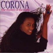 THE RHYTHM OF THE NIGHT