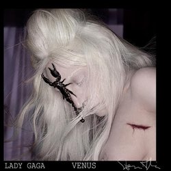  © Lady Gaga Twitter