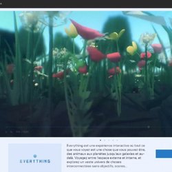 Everything gratuit sur l'Epic Games Store