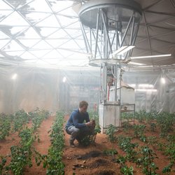Seul sur Mars
