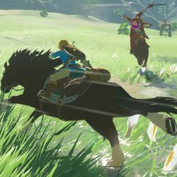 The Legend Of Zelda : Breath Of The Wild