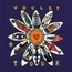 Laurent Voulzy