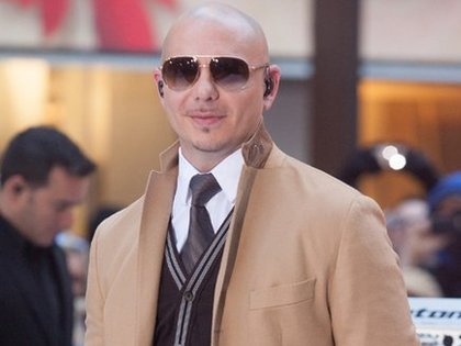 pitbull