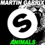 MARTIN GARRIX