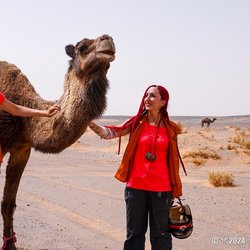 Rallye Aïcha des Gazelles du Maroc 2024 - Etape 3