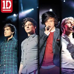 One Direction Up All Night Tour