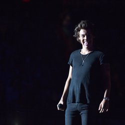 Harry Styles - L'Annuel Officiel 2015