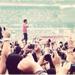 Zayn Malik