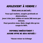 petite annonce : Adolescent à vendre !