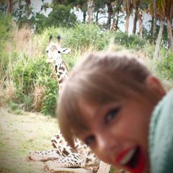 Taylor Swift : le royaume animal 
