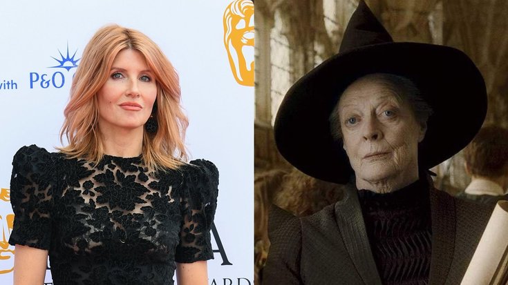 Sharon Horgan / Minerva McGonagall