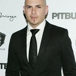 pitbull