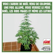 Bonne ou mauvaise idée ?
