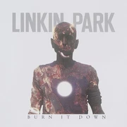 Burn It Down