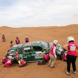 Les Gazelles affrontent le désert