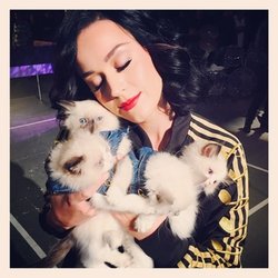 Katy Perry: heaven is a place on earth