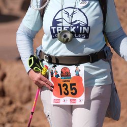Trek'In Gazelles 2023