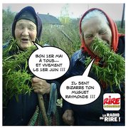 Bon 1er Mai à tous ...!