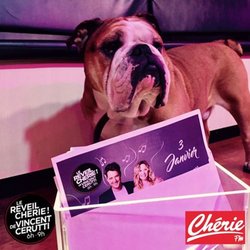 Groucho nous montre la date d'anniversaire