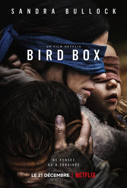 BIRD BOX