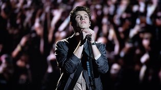 Shawn Mendes – «In My Blood»